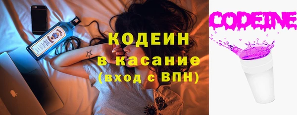 гидра Заводоуковск