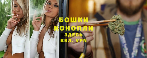 индика Заволжье
