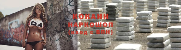 гидра Заводоуковск