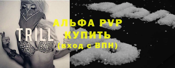 индика Заволжье