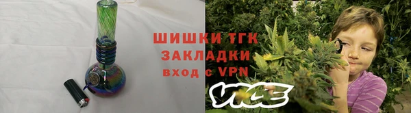 гидра Заводоуковск