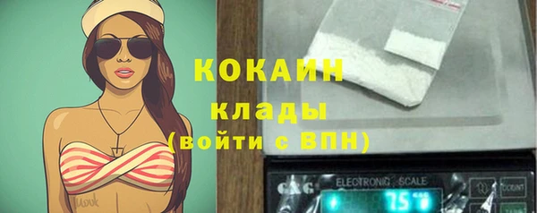 индика Заволжье