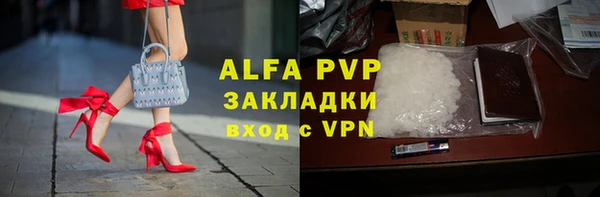 индика Заволжье