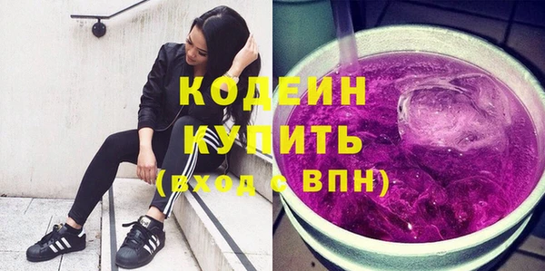 гидра Заводоуковск
