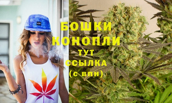 гидра Заводоуковск