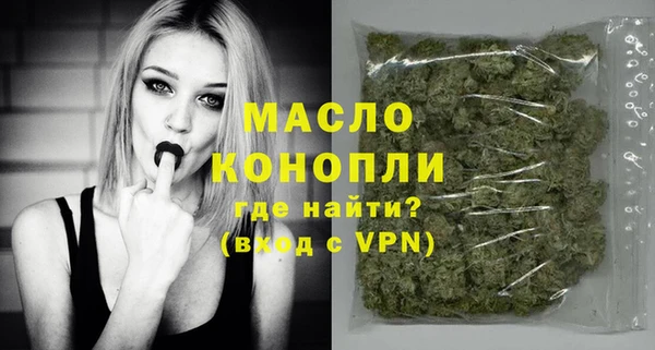 гидра Заводоуковск