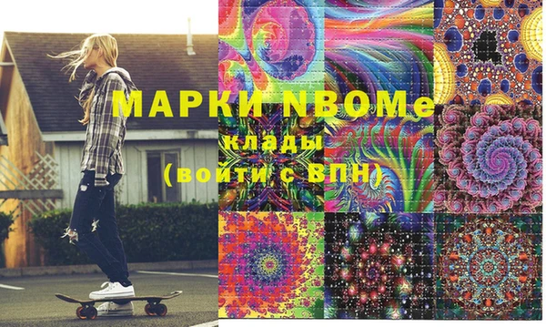 индика Заволжье