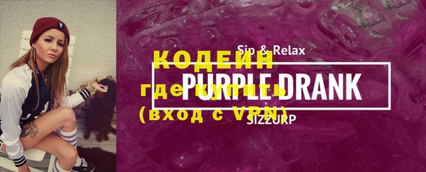 индика Заволжье