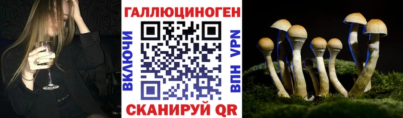 Галлюциногенные грибы мицелий  Купить закладки  Ивдель 